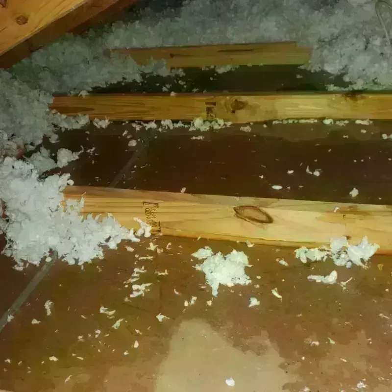 Attic Water Damage in Tanglewilde-Thompson Place, WA