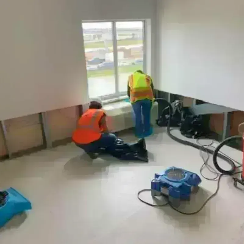 Drying And Dehumidification in Tanglewilde-Thompson Place, WA